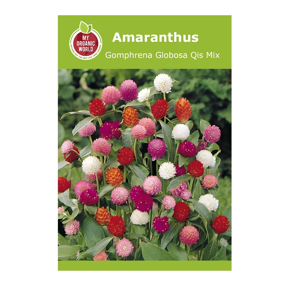 Gomphrena Globosa Qis Mix seeds