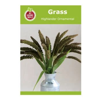 Grass Highlander Ornamental
