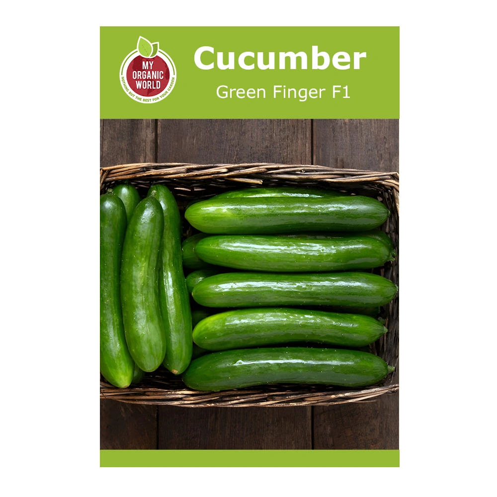 بذور خيار Green Finger F1