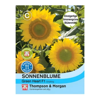 Green Heart F1 Hybrid Sunflower