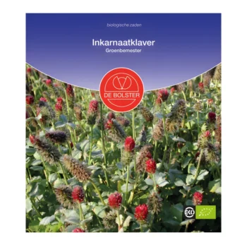Green Manure Incarnate Clover