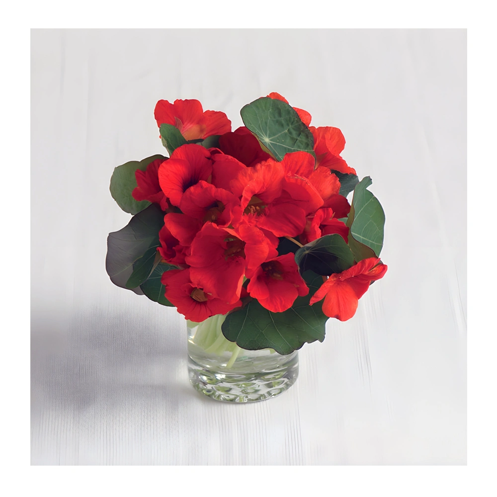 Heirloom Nasturtium Empress of India