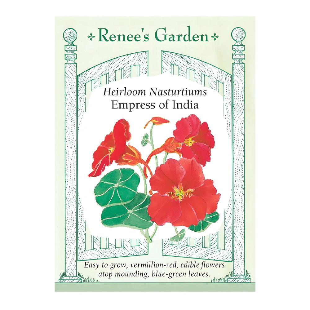 Heirloom Nasturtium Empress of India