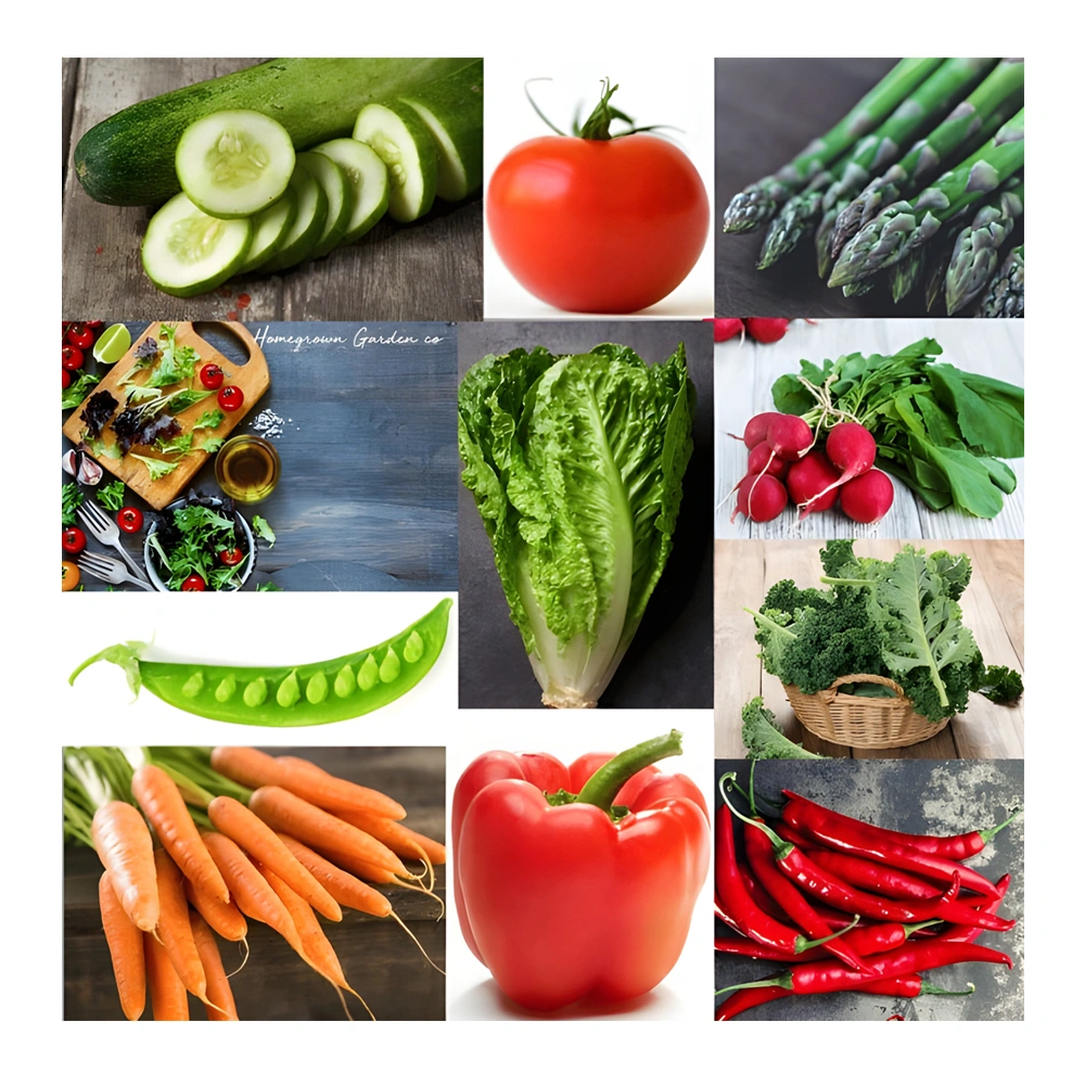 Heirloom Vegetable Seeds – (10 Variety)