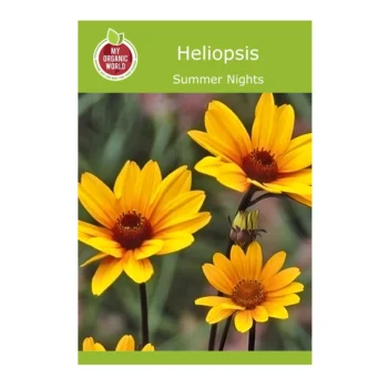 Heliopsis Summer Nights seeds