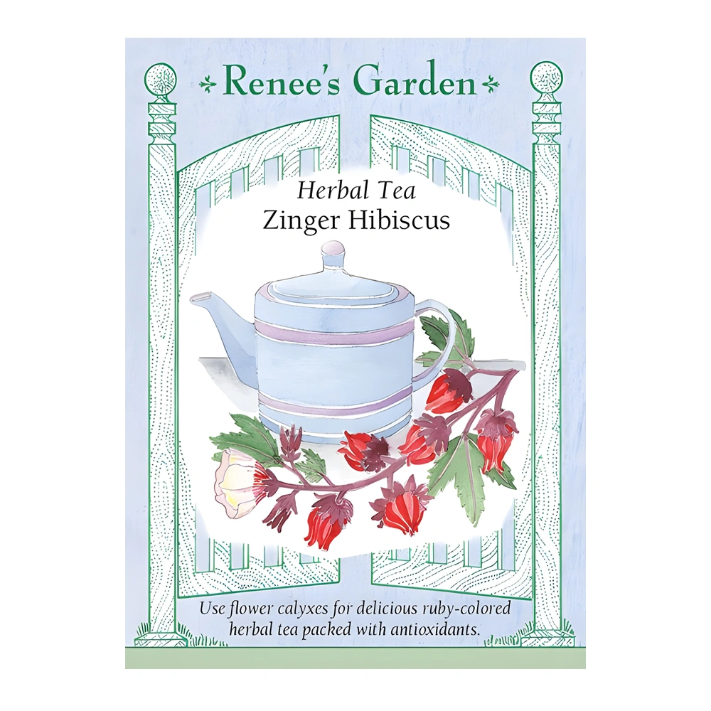 Hibiscus Herbal Tea Zinger 1 Hibiscus Herbal Tea Zinger