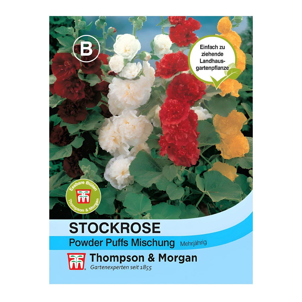 Hollyhock Powder Puffs Mixed 1 Hollyhock Powder Puffs Mixed