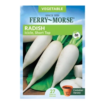 Icicle Short Top Radish seeds