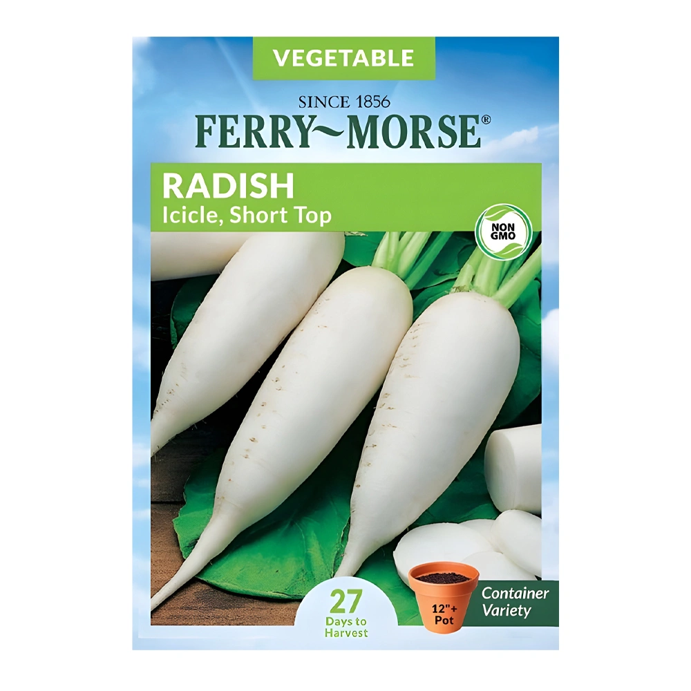 Icicle Short Top Radish 1 Icicle Short Top Radish seeds