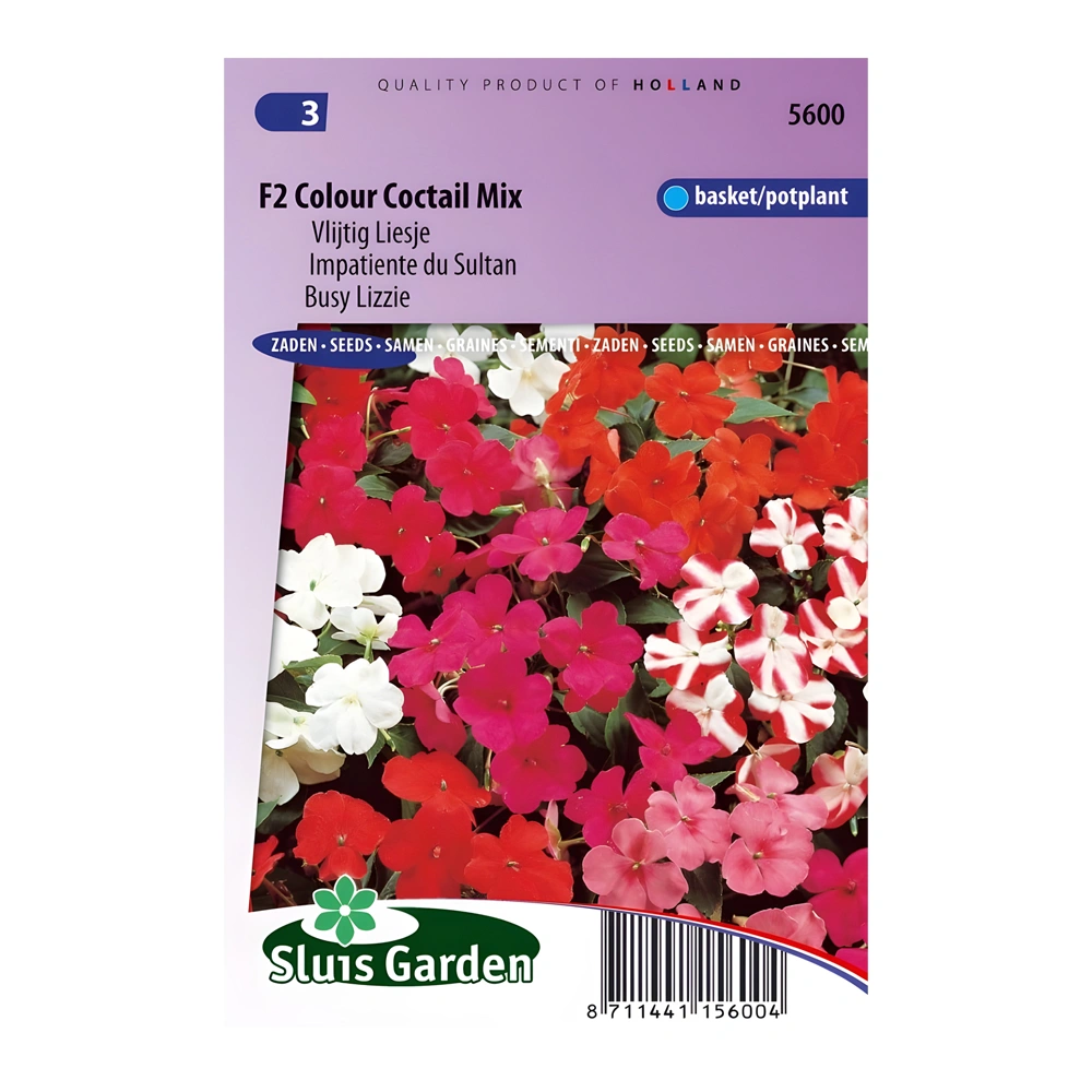 Impatiens Busy Lizzie F2 Colour Cocktail