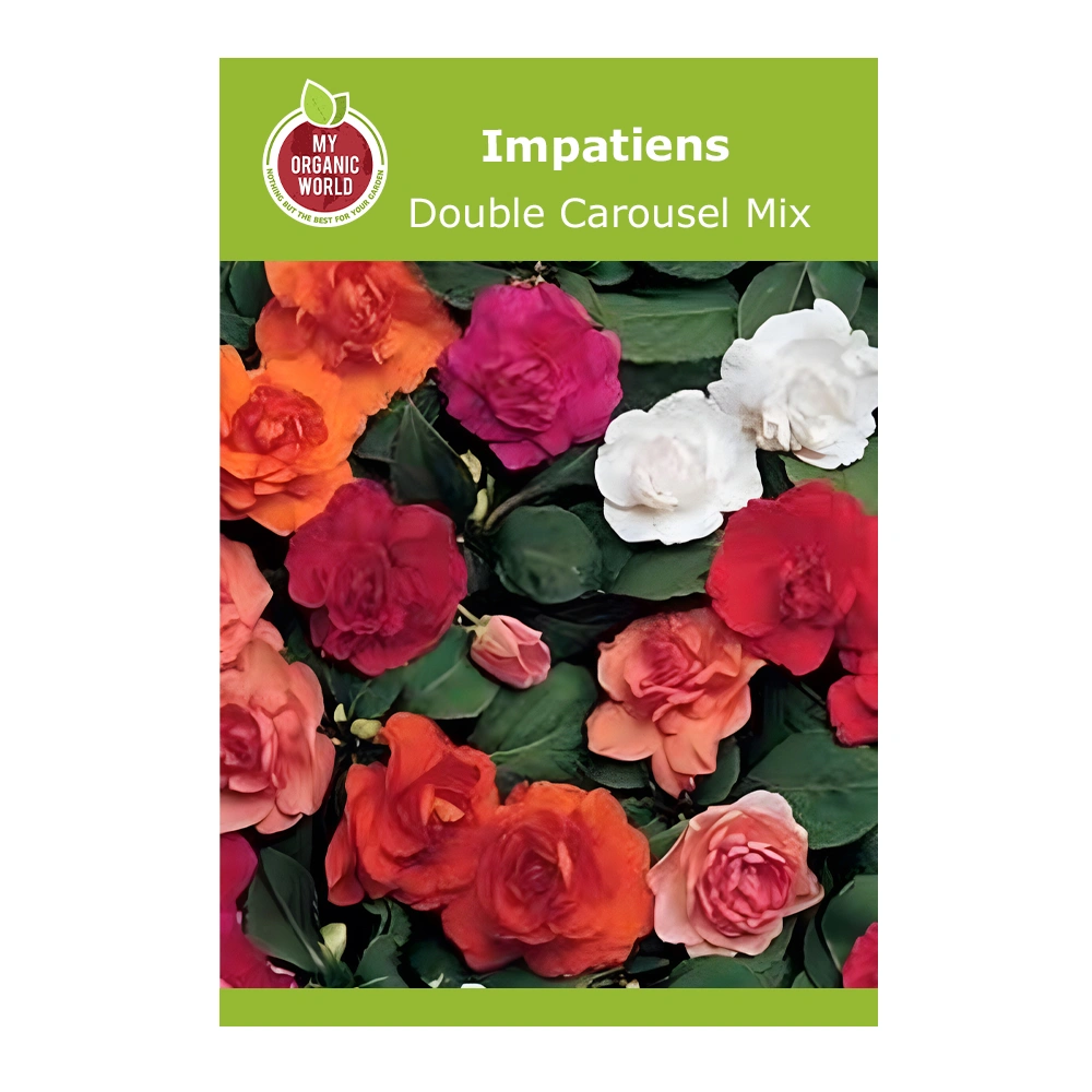 Impatiens Double Carousel Mix