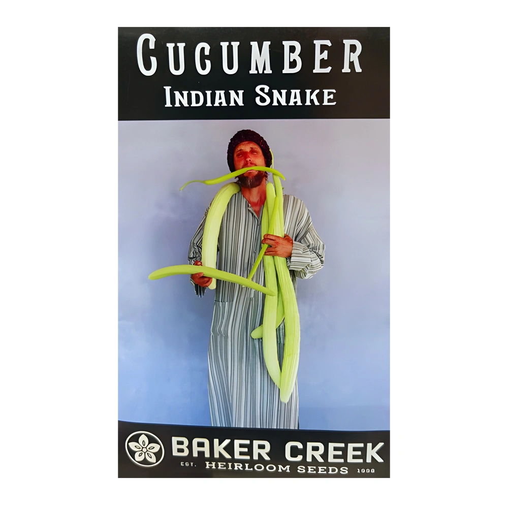 Indian Snake Cucumber Seeds