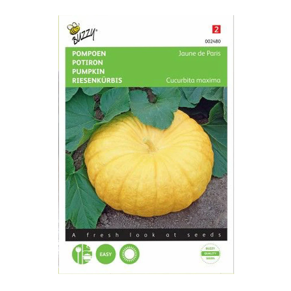 يقطين باريس العملاق 1 Jaune Gros De Paris Giant Pumpkin