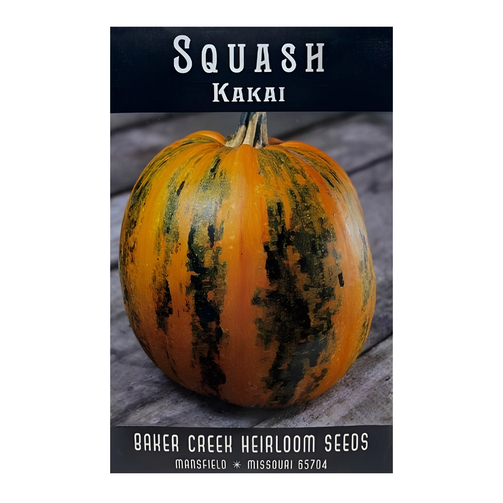Kakai Squash 1 بذور Kakai Squash
