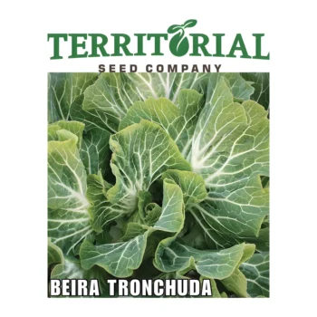 Kale Beira Tronchuda F1