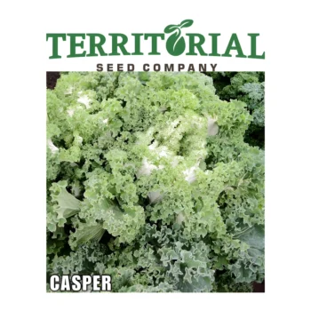 Kale Casper