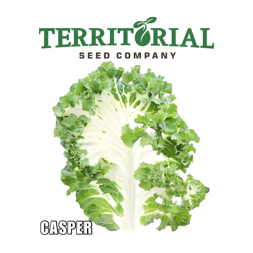 Kale Casper