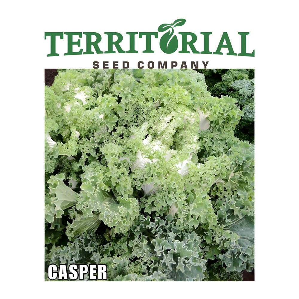 Kale Casper 1 Kale Casper