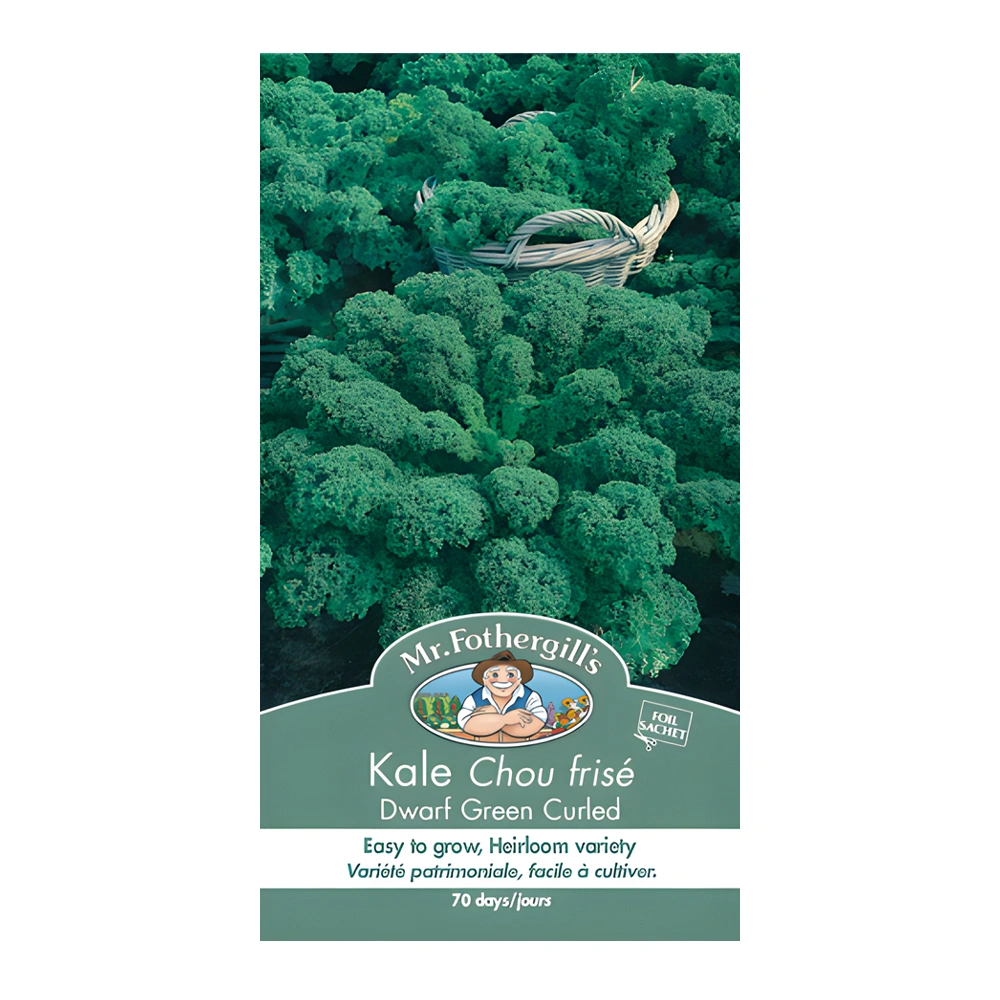 Kale Chou Frise 1 Kale Chou Frise
