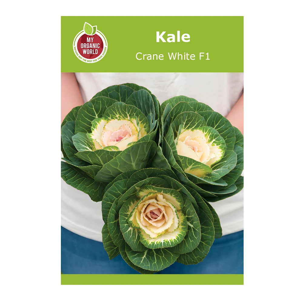 Kale Crane White F1 1 Kale Crane White F1