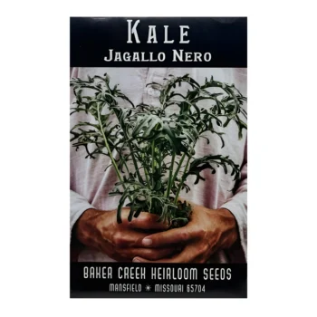 Kale Jagallo Nero
