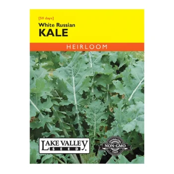 Kale White Russian