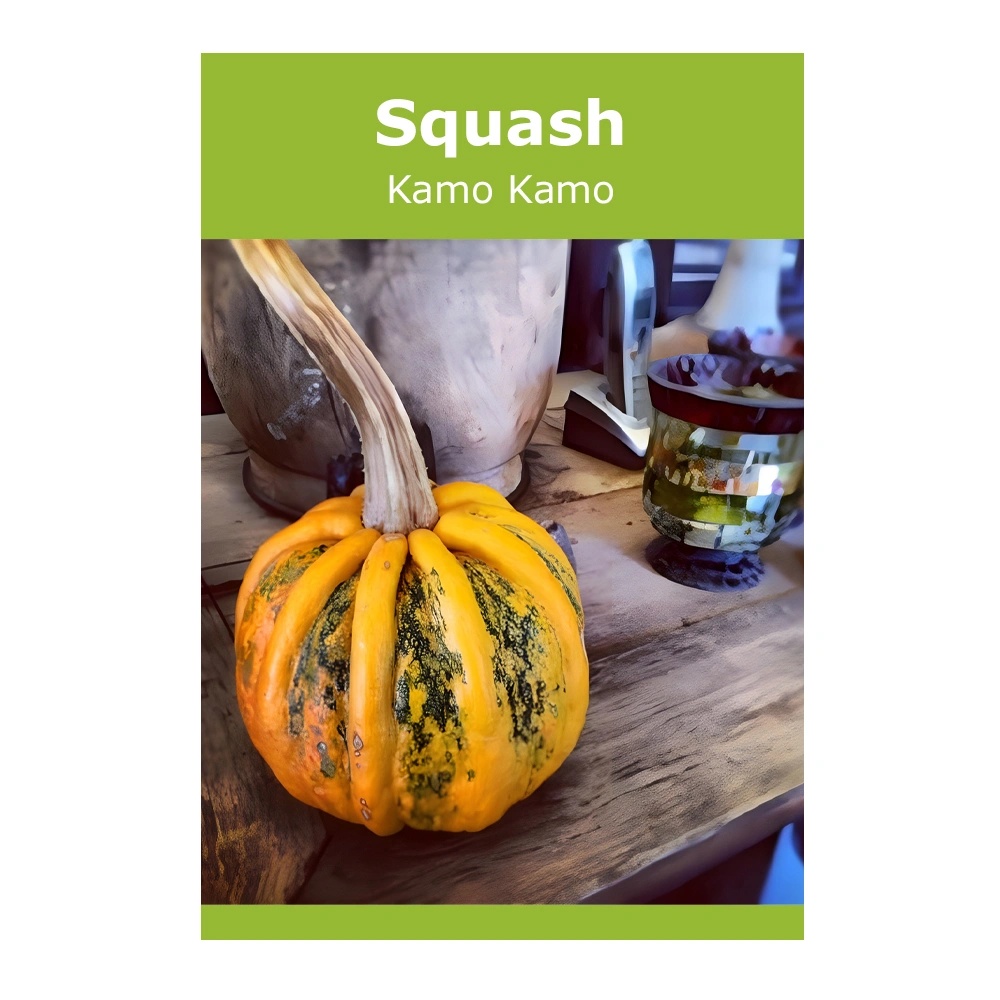 Kamo Kamo Squash seeds
