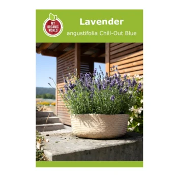 Lavandula angustifolia Chill-Out Blue Seeds