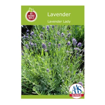 Lavender Lavender Lady seeds