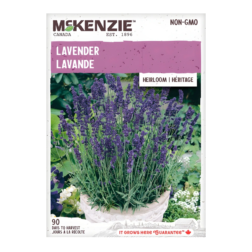 Lavender seeds