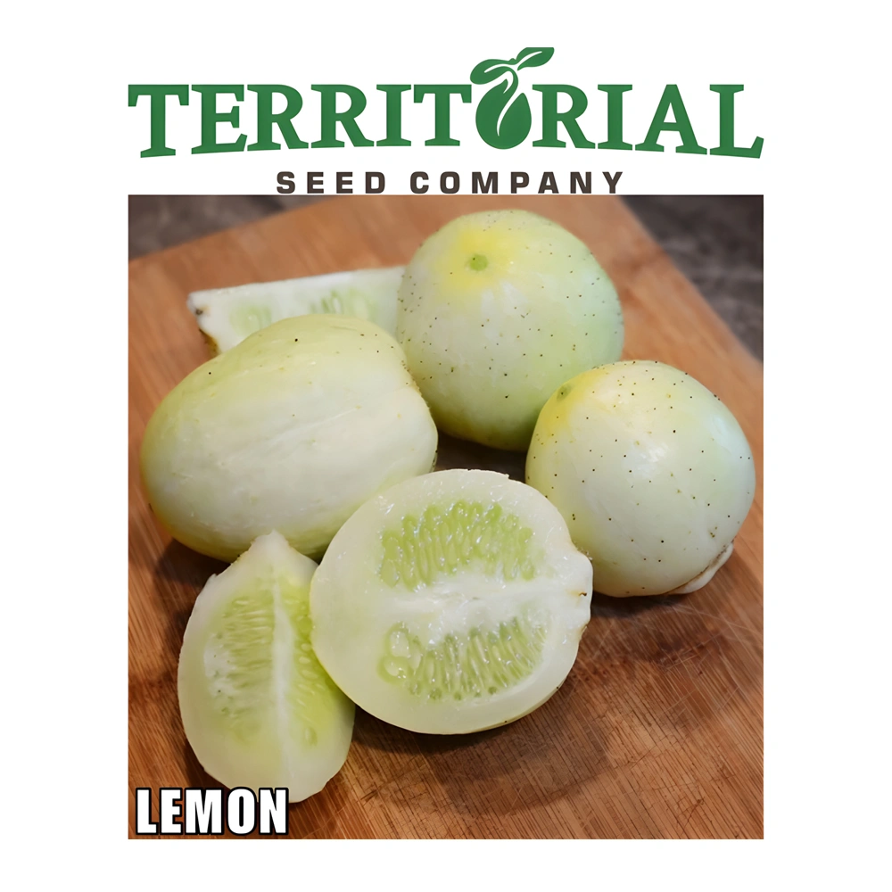 Lemon Cucumber seeds