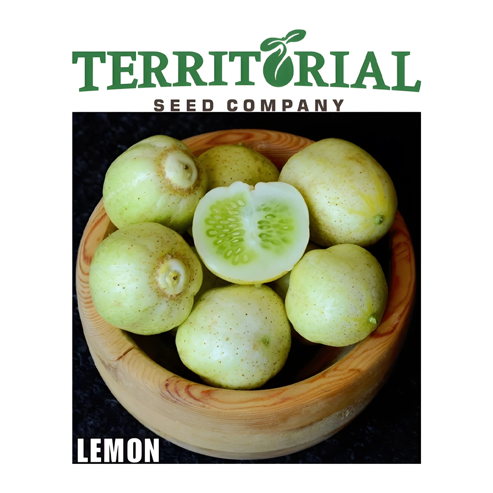 Lemon Cucumber seeds