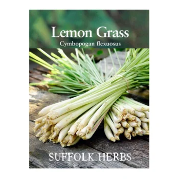 Lemon Grass Seeds