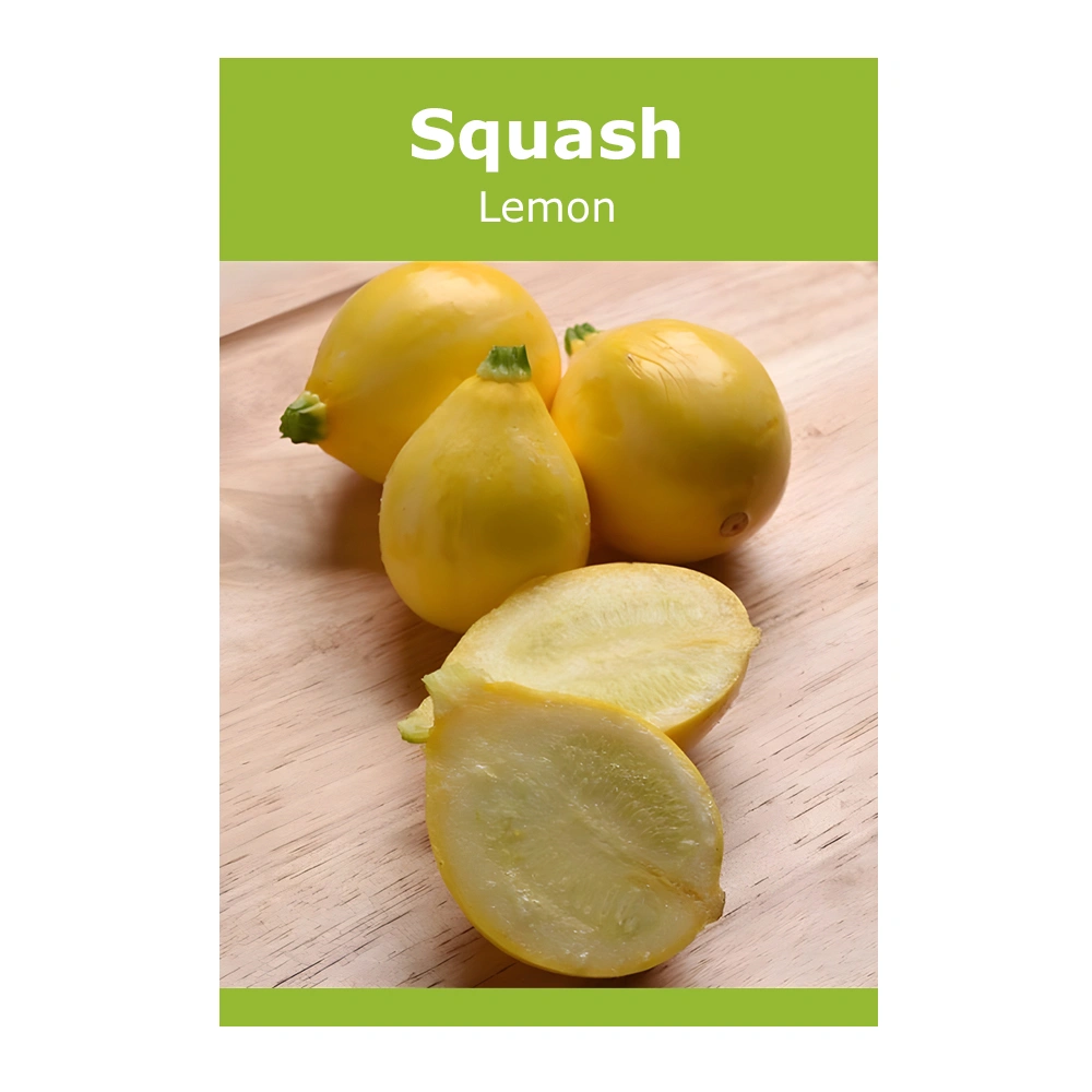 Lemon Squash seeds