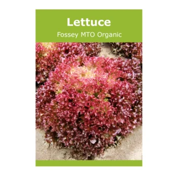 Lettuce Fossey MTO Organic