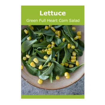 Lettuce Green Full Heart Corn Salad