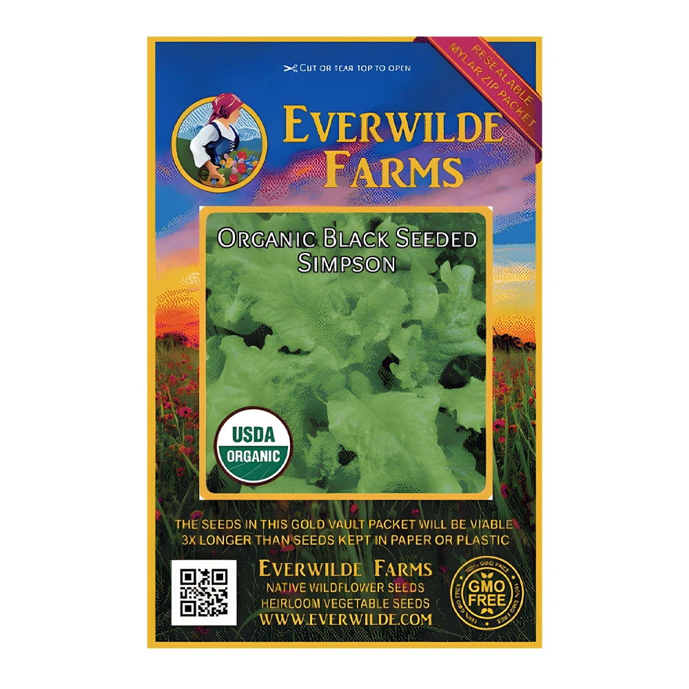 Lettuce Organic Black Seeded Simpson 1 Lettuce Organic Black Seeded Simpson