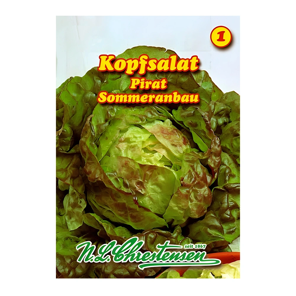 Lettuce Pirat 1 Lettuce Pirat