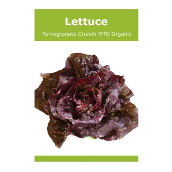 Lettuce Pomegranate Crunch MTO Organic
