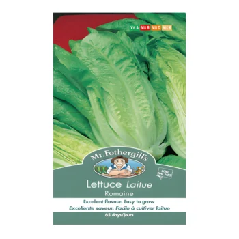 Lettuce Romaine