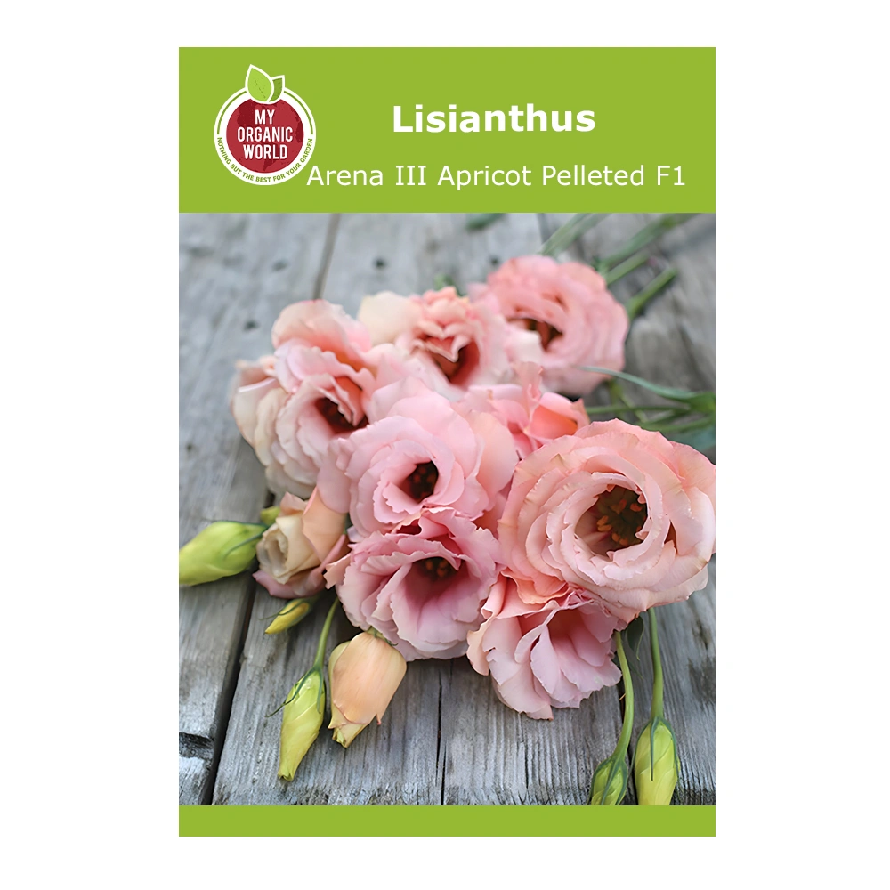 Lisianthus Arena III Apricot Pelleted F1
