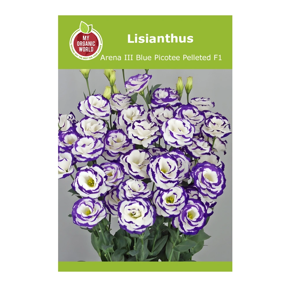 Lisianthus Arena III Blue Picotee Pelleted F1