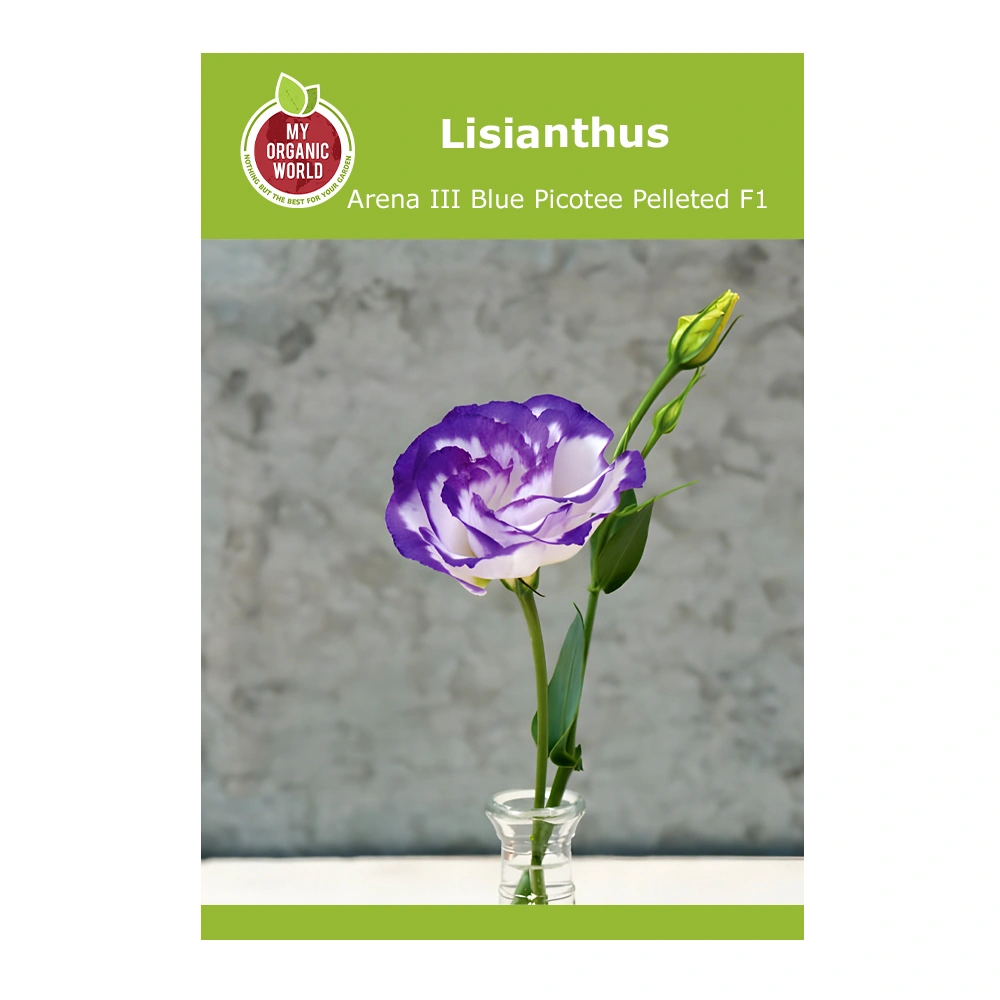Lisianthus Arena III Blue Picotee Pelleted F1
