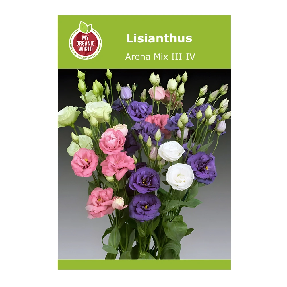 Lisianthus Arena Mix III-IV 1 Lisianthus Arena Mix III-IV