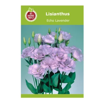 Lisianthus Echo Lavender