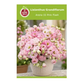 Lisianthus Grandiflorum Arena III Pink Flash Seeds