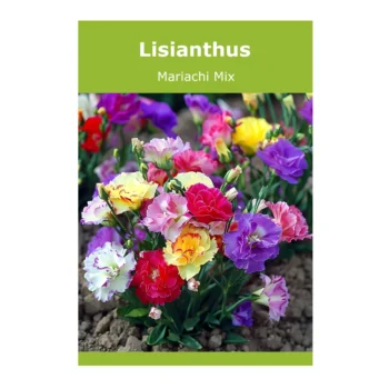 Lisianthus Mariachi Mix seeds