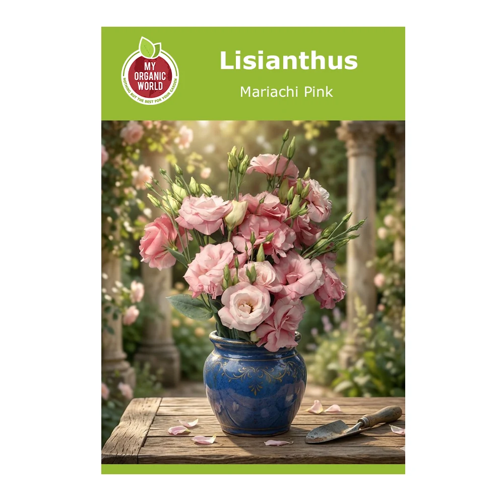 Lisianthus Mariachi Pink 1 Lisianthus Mariachi Pink
