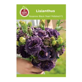 Lisianthus Rosanne Black Pearl Pelleted F1