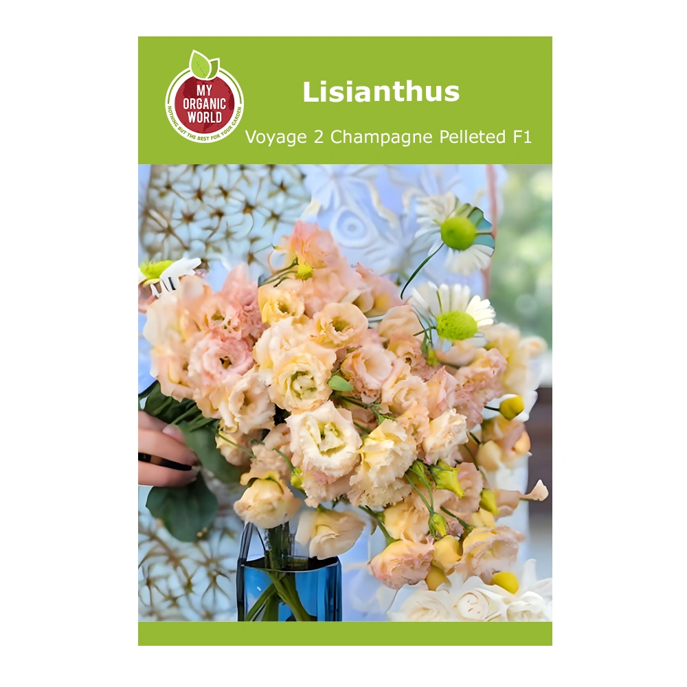 Lisianthus Voyage 2 Champagne Pelleted F1 1 Lisianthus Voyage 2 Champagne Pelleted F1